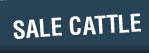 Sale Cattle